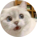 Thanh Trúc Lê Phan