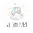 nguyễn trình quỳnh thy