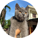 Nguyễn Uyên Thư Trần