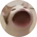 Thảo Lê Phạm Phương