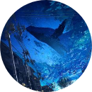 Nguyễn thị minh ánh 6A1