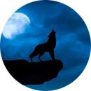 Vào zoom 2312890089 pass...