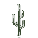 Nguyễn Thị Hà Anh