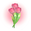 Bảo uyên Nguyễn