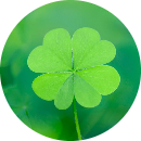 May mắn sẽ đến với bạn :...