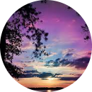 Nguyễn Văn Lĩnh :))