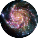 Nguyễn Đức Minh