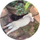 Trần Thị Ngọc Duyên