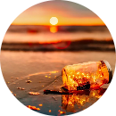 nguyễn ngọc trà my