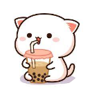 Mèo Katty chăm chỉ