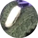 Ngọc Anh Nguyễn Cao