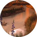 Nguyễn Huyền Ngọc My