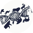 Hưng Nguyễn Trung