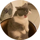 Học muốn đột quỵ