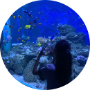 Nguyễn Phương Trang