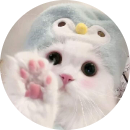 cute không thể tả nổi