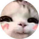 Phạm Hoàng Khánh Chi