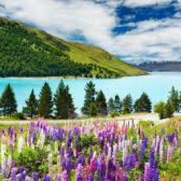 pham thi phuong thao