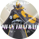 Phan Thái Bảo 2009