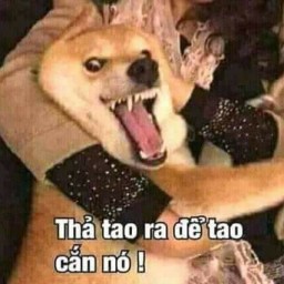  ʚ⚘ɞ‏ Čħịςħ ʚ⚘ɞ‏