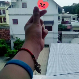 Nguyễn Nguyễn Trí