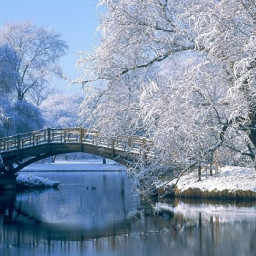 phan thị phương linh