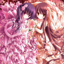 Song Tử Tiểu Thư