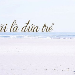 Trương Thị Quỳnh Anh