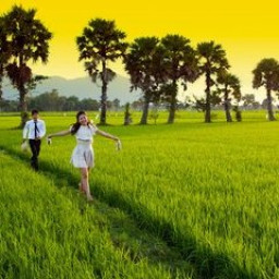 ♛☣ Peaceful Life ☣♛