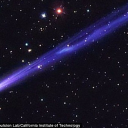  Nguyễn Kim Ngọc Tiên