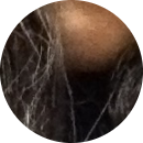 Nguyễn Lâm Hằng