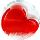 Nguyễn Thị Hà Chi