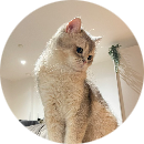 Bùi Nguyễn Đại Yến