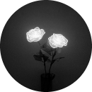 Soda đá đường chanh