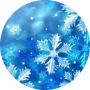 Trần Hồng Dương