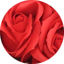 Trinh Thi Khánh Lam