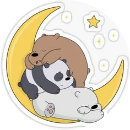 NGUYỄN MẠNH HIẾU