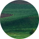 Hoàng tâm Tâm hoàng