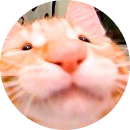 Linh Đan Phan Thị