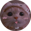 34 Nguyễn Thị Phương Thả...