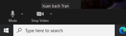 bach tran