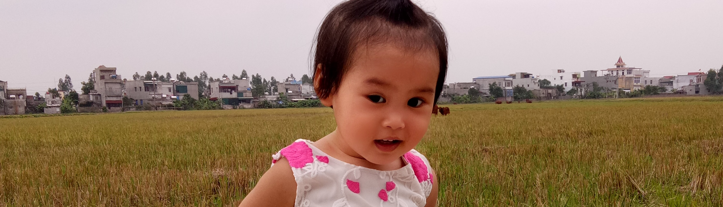 Bùi Bảo Ngọc