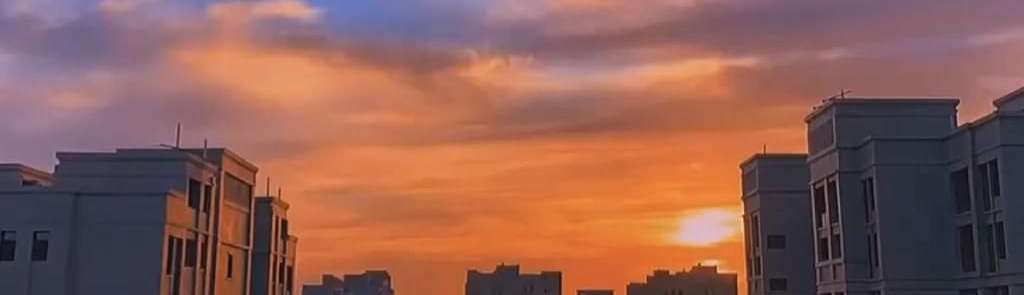 Lê Hồng Diệp Anh