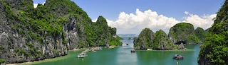 Mai Chi Nguyễn