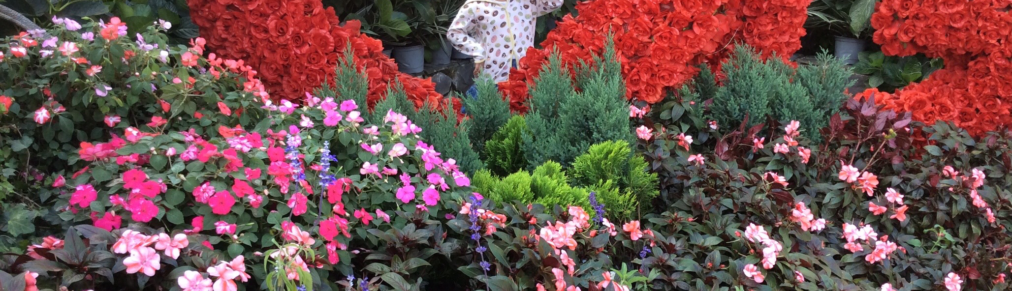 Nguyễn Ngọc Minh Anh