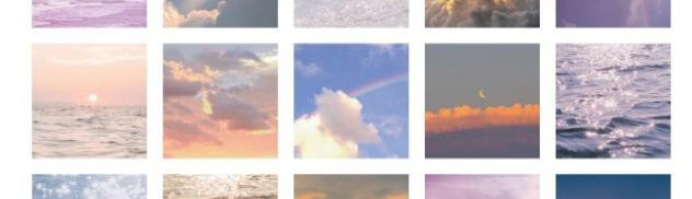 Đỗ Nhật Minh Đan