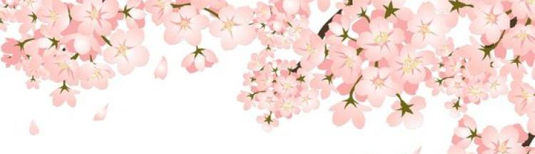 Nguyễn Ngọc Phương