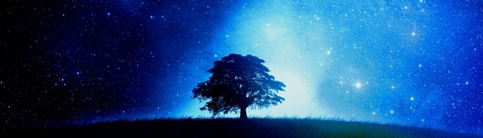 Nguyễn Lê Việt Anh