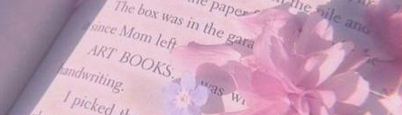 Lâm Bảo Ngọc Nguyễn