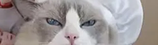 Taki